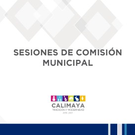 Sesiones de comision municipal