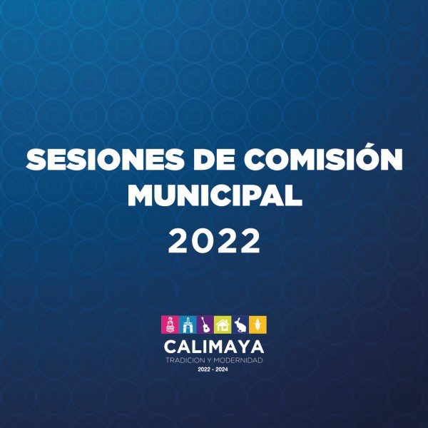 Sesiones de comisión municipal 2022