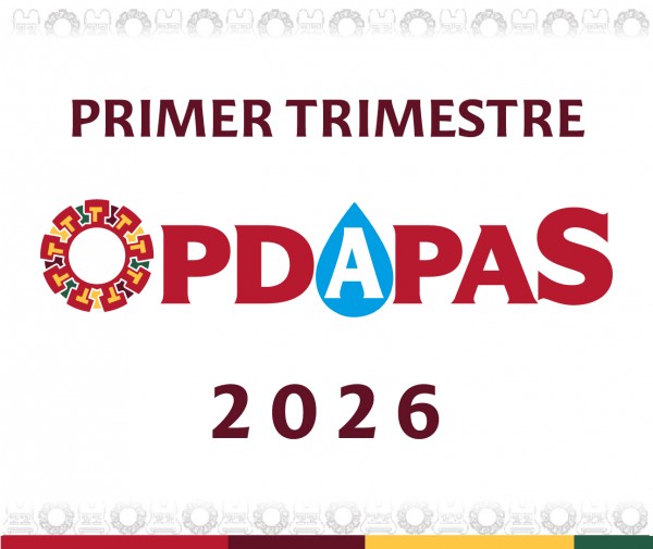 1er Trimestre OPDAPAS